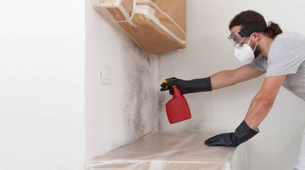 Professional Mold Removal technician working in Somerset, TX