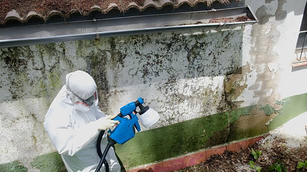 Trusted Bathroom Mold Removal service in Somerset, TX - Cheap Mold Removal